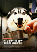 The Balanced Raw Feeding Blueprint